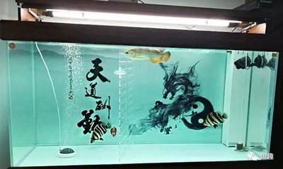 龍魚上色技巧和方法：龍魚的上色技巧