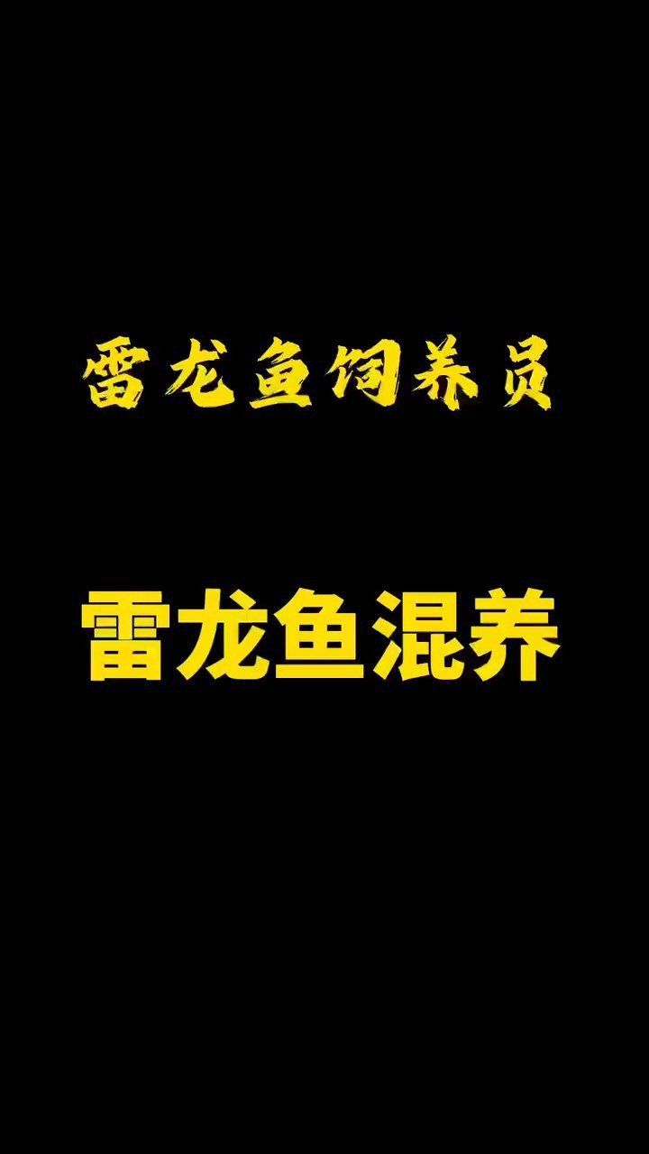 紅龍魚要吃什么魚糧：紅龍魚的喂食應(yīng)注意以下幾點(diǎn)紅龍魚的發(fā)色與其飲食密切相關(guān)