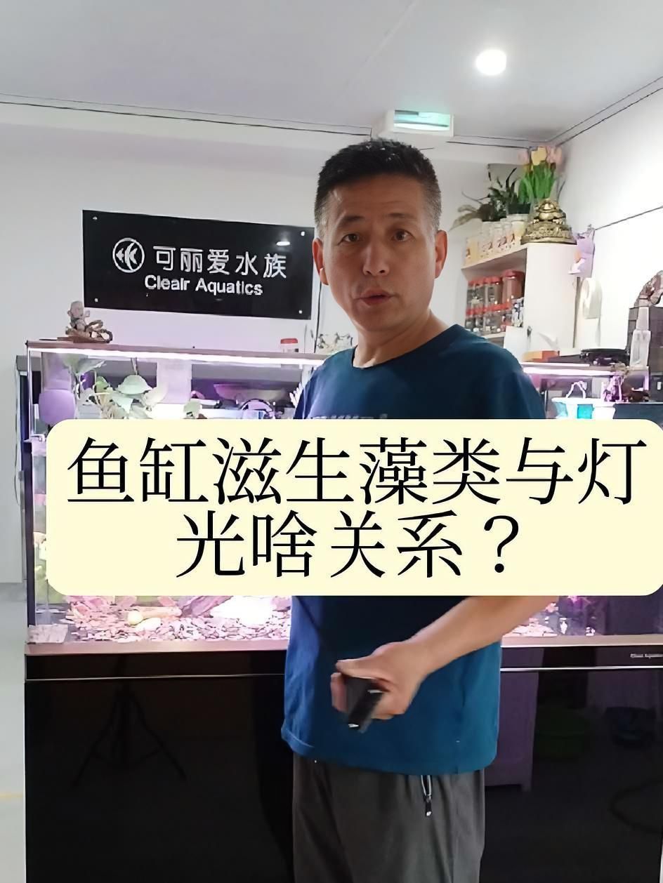 可麗愛魚缸
