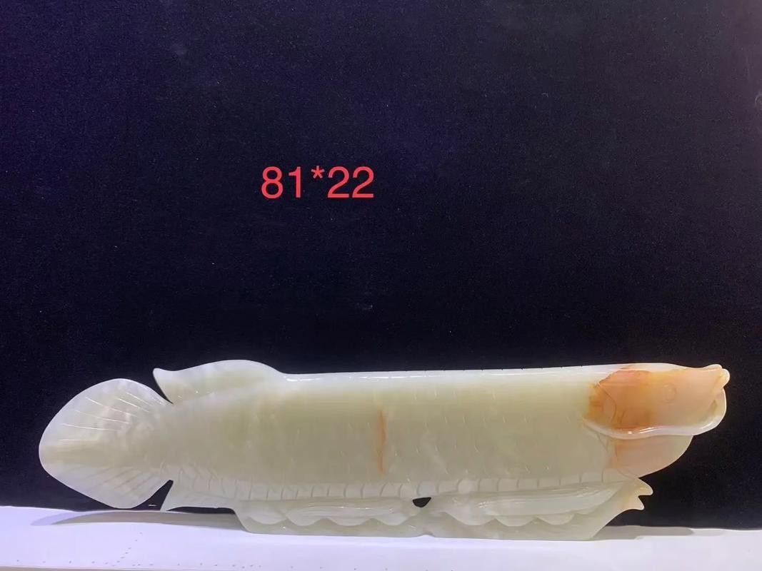 白玉金龍魚擺件
