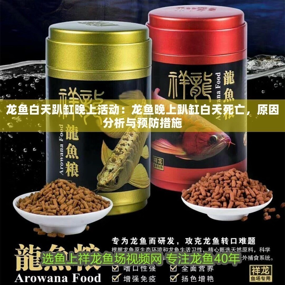 龍魚白天趴缸晚上活動：龍魚晚上趴缸白天死亡，原因分析與預(yù)防措施 龍魚白天趴缸晚上活動：龍魚晚上趴缸白天死亡，原因分析與預(yù)防措施 龍魚百科 第1張