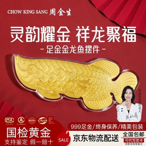 黃金金龍魚圖片大全大圖 黃金金龍魚圖片大全大圖 龍魚百科 第17張