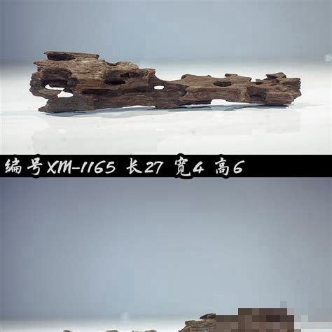 銀龍魚缸沉木放好還是不放好看