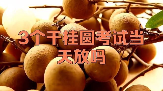 龍眼與科舉文化有何關(guān)聯(lián)？