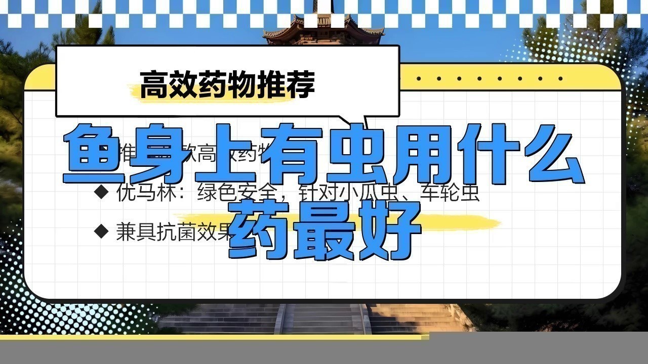 金龍魚感染寄生蟲后如何治療？ 金龍魚感染寄生蟲后如何治療？ 龍魚百科 第7張