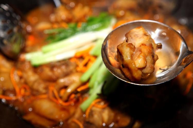 順德火龍魚圖片