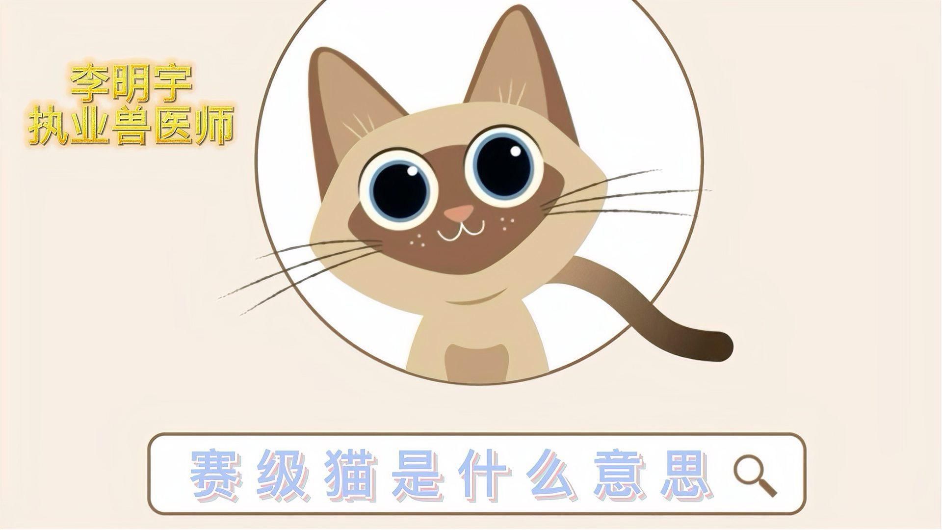 賽級什么意思