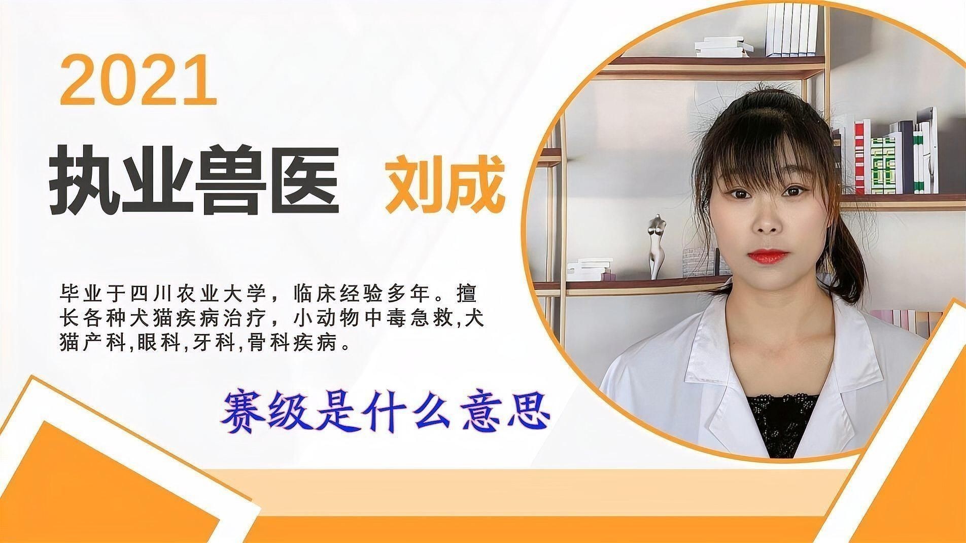 賽級什么意思