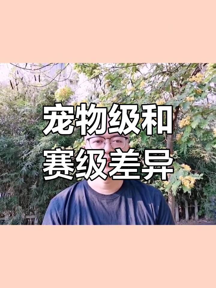 賽級什么意思