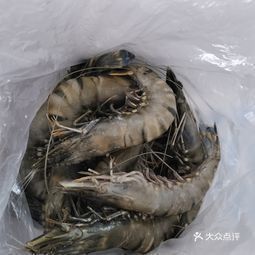 沈陽龍魚批發市場地址電話是多少