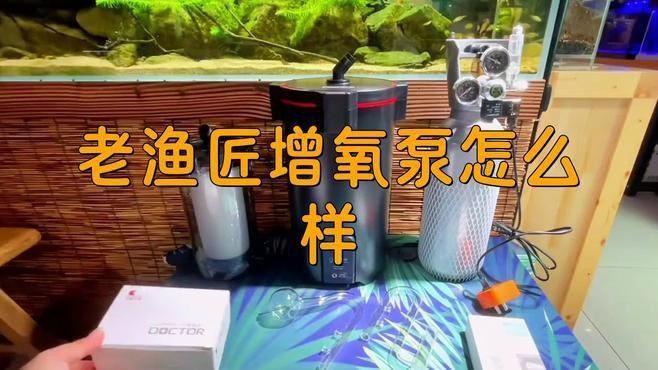 老魚匠這個牌子怎么樣 龍魚百科 第4張 老魚匠這個牌子怎么樣 老魚匠這個牌子怎么樣 龍魚百科 第4張