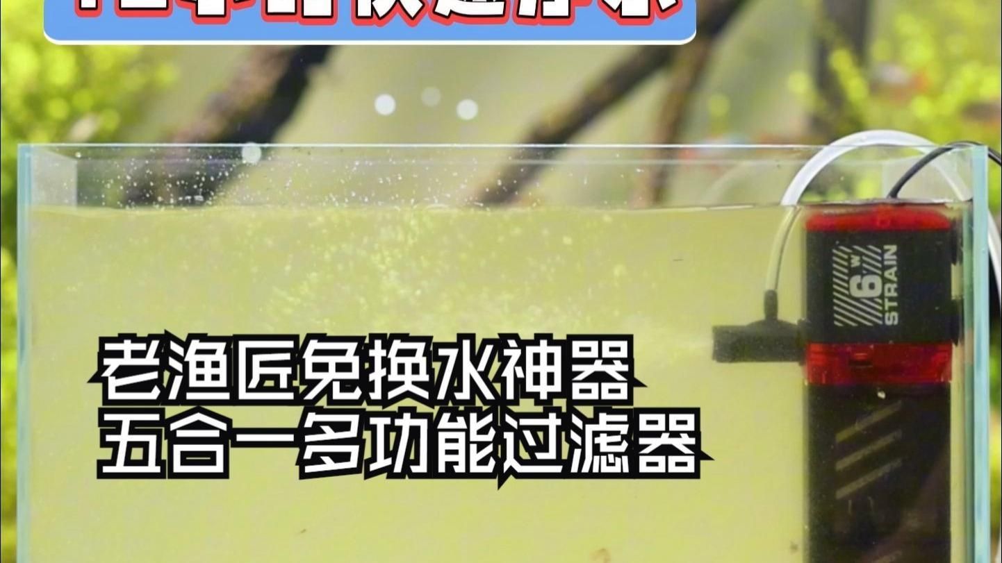 老魚匠這個牌子怎么樣 龍魚百科 第3張 老魚匠這個牌子怎么樣 老魚匠這個牌子怎么樣 龍魚百科 第3張