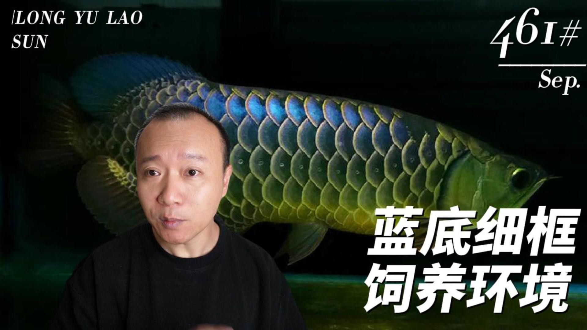 過(guò)背金龍珠鱗亮化后如何維護(hù)？ 過(guò)背金龍珠鱗亮化后如何維護(hù)？ 龍魚(yú)百科 第1張
