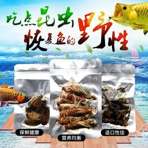 龍魚活餌殺菌方法（龍魚活餌殺菌方法：幾種有效的龍魚活餌殺菌方法） 龍魚活餌殺菌方法（龍魚活餌殺菌方法：幾種有效的龍魚活餌殺菌方法） 龍魚百科 第5張