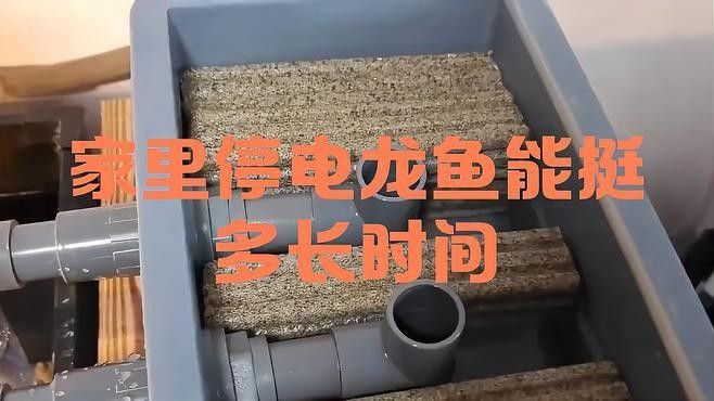 金龍魚魚缸停電幾小時后怎么處理