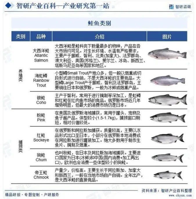 十大最值錢的紅龍魚品種