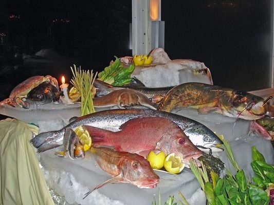 雷龍魚產地（雷龍魚與非洲黑魚的區別,）