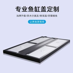 龍魚耐高溫嗎怎么養：龍魚的耐高溫能力和養護方法
