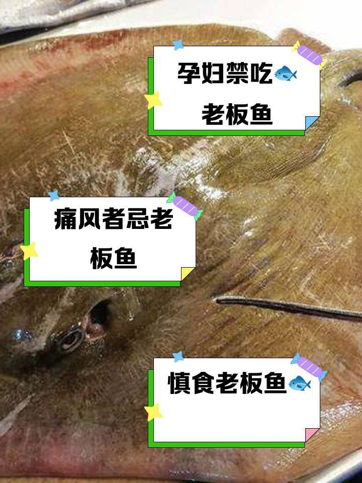 老板魚盡量少吃的原因