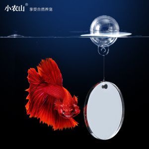 雷龍魚黃金眼鏡蛇用鏡子訓的時候亂串害怕應該怎么訓呢（如何訓練雷龍魚黃金眼鏡蛇使用鏡子）