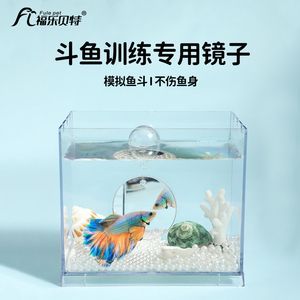 雷龍魚黃金眼鏡蛇用鏡子訓的時候亂串害怕應該怎么訓呢（如何訓練雷龍魚黃金眼鏡蛇使用鏡子）