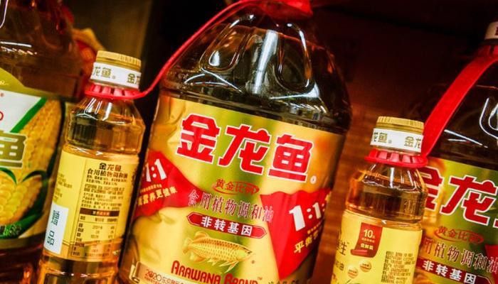 溫州金龍魚囤貨地址 溫州金龍魚囤貨地址 龍魚百科 第2張