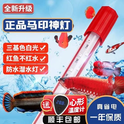 專用龍魚燈哪個(gè)品牌好用一點(diǎn)