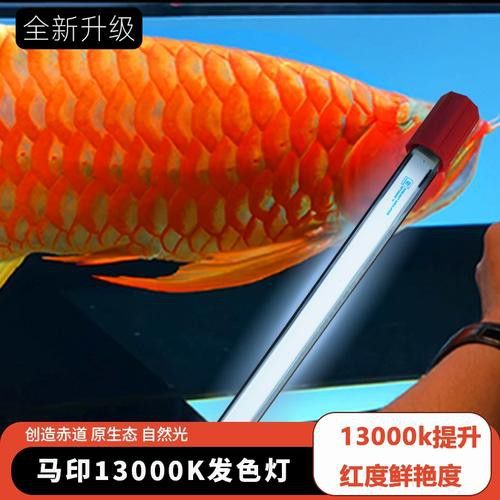 專用龍魚燈哪個(gè)品牌好用一點(diǎn)