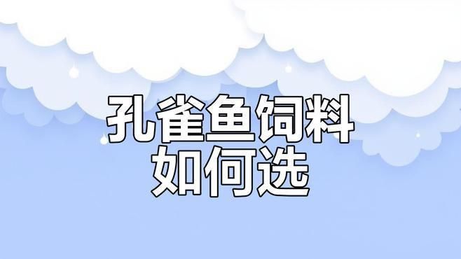 如何判斷孔雀魚飼料的好壞？