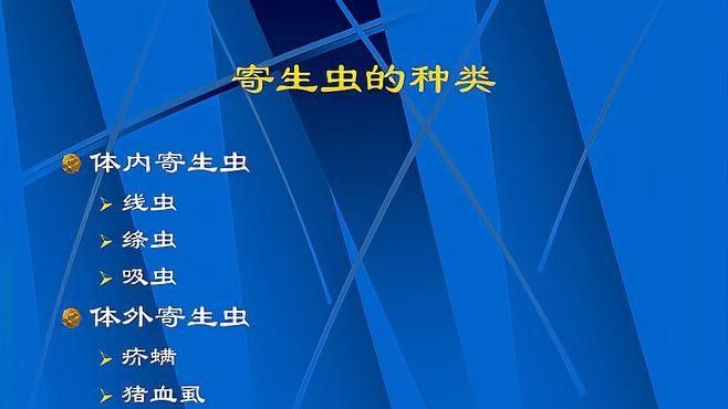 龍魚爬背時可以用藥嗎？