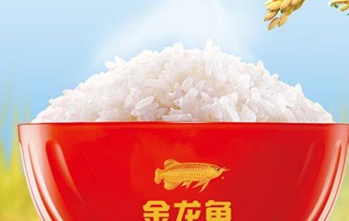 金龍魚稻谷鮮生鶴鄉生態香米好吃嗎