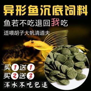 招財貓魚繁殖期飼料自制方法：招財貓魚繁殖期飼料配方優化,如何判斷自制魚飼料質量
