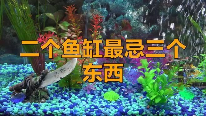 馬印魚缸最忌三個(gè)東西