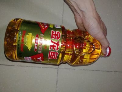 金龍魚主打產品種類