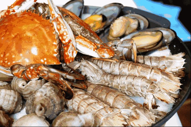 水龍魚吃什么食物：關于水龍魚的食物習性