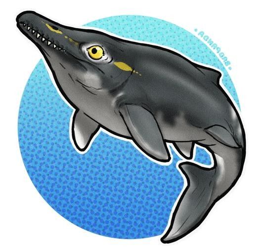 馬古龍魚(yú)的圖片欣賞