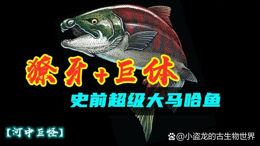 馬古龍魚的圖片欣賞