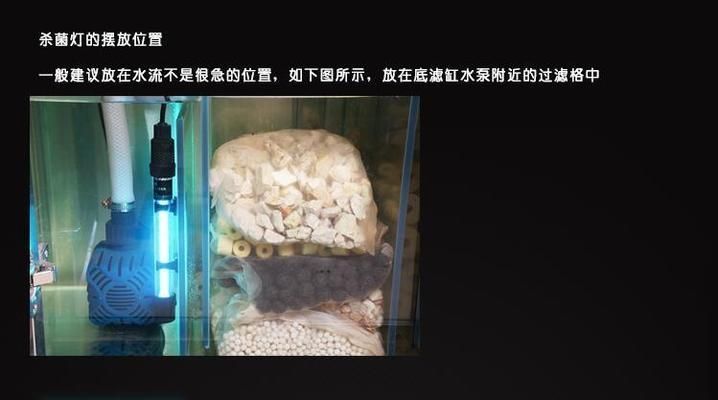 龍魚缸殺菌燈使用方法：殺菌燈波長,化學作用方面,龍魚缸殺菌燈的最佳擺放位置