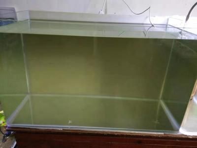 龍魚趴缸底需要加硝化菌嘛（“龍魚趴缸底”是否需要加硝化菌，水族箱管理習(xí)慣才是關(guān)鍵）