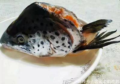 龍魚腮發(fā)黃（龍魚腮發(fā)黃可能由多種因素引起，）