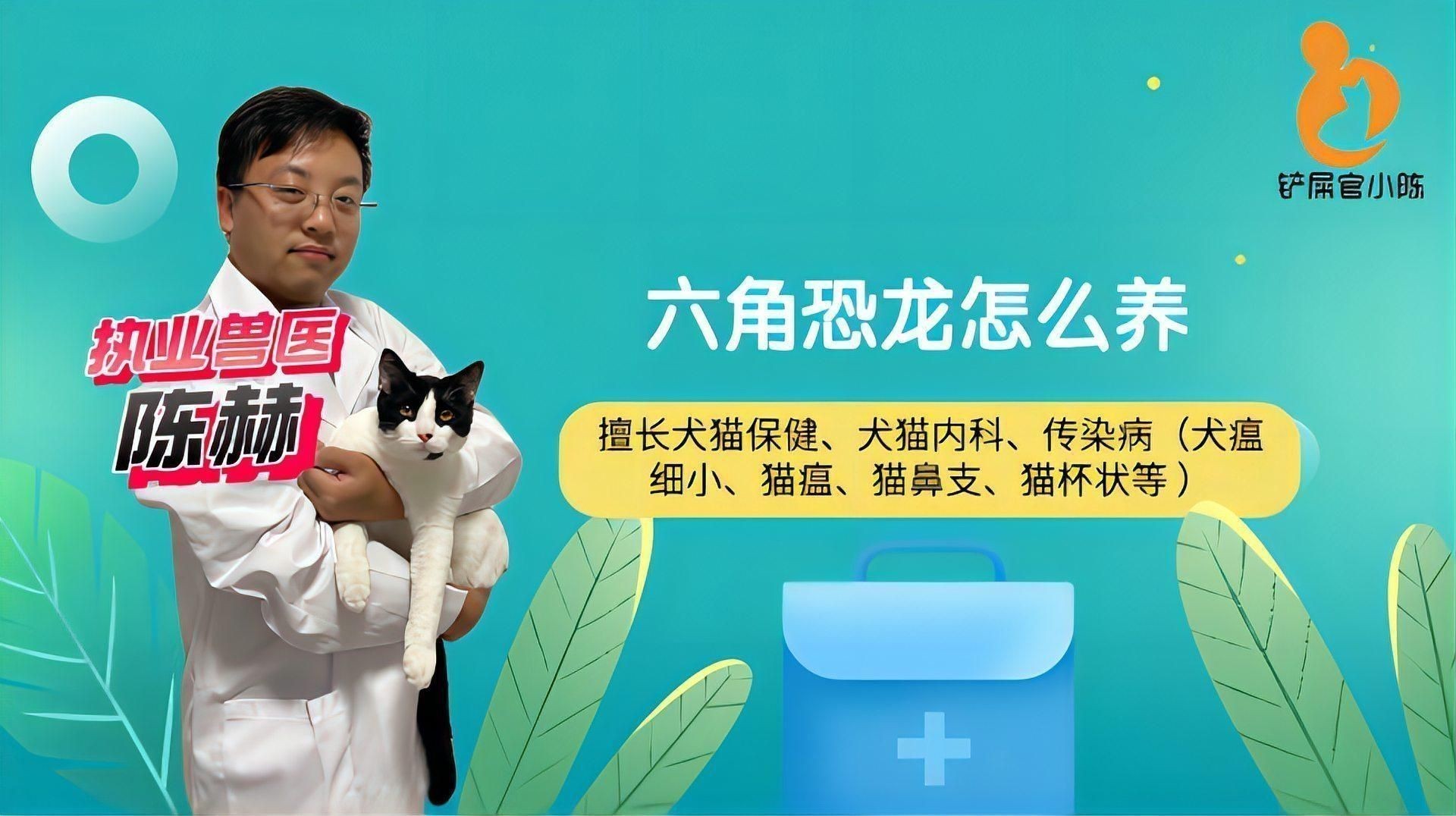如何科學飼養(yǎng)六角龍魚？