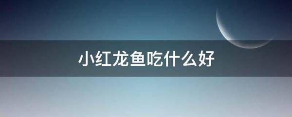 紅龍魚小魚如何挑選（如何挑選小紅龍魚） 紅龍魚小魚如何挑選（如何挑選小紅龍魚） 龍魚百科 第5張