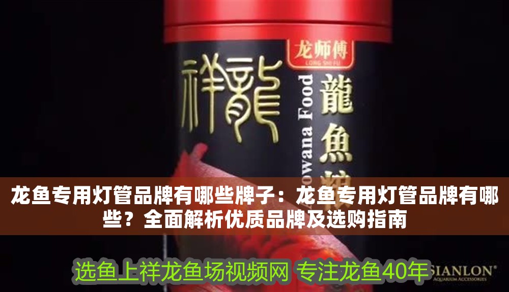 龍魚(yú)專(zhuān)用燈管品牌有哪些牌子：龍魚(yú)專(zhuān)用燈管品牌有哪些？全面解析優(yōu)質(zhì)品牌及選購(gòu)指南