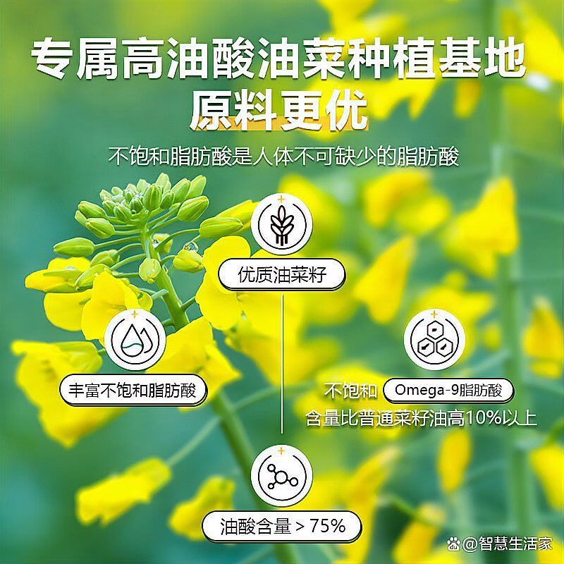道道全和金龍魚哪個更適合涼拌？