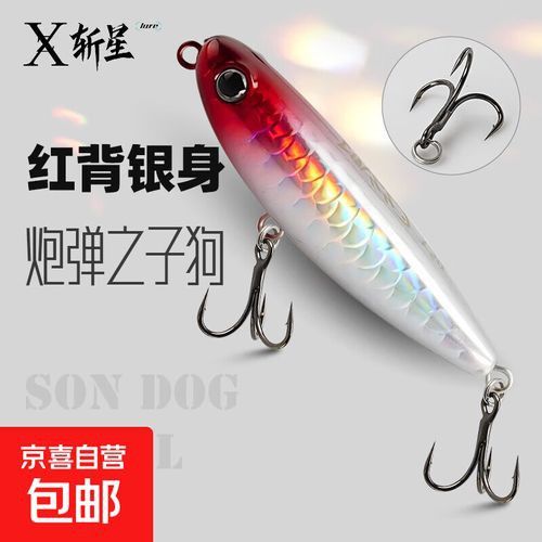 炮彈頭金龍魚如何挑選