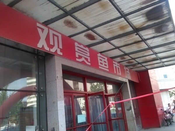 鞍山金龍魚批發市場在哪里呀