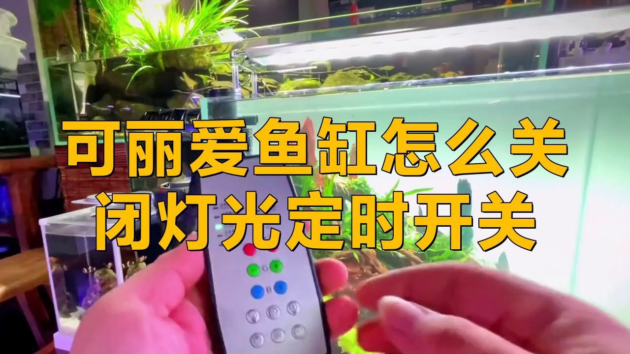 可麗愛魚缸使用說明