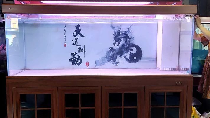 魚缸布景簡單（魚缸造景入門指南）