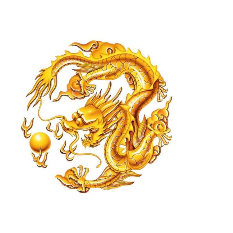 金龍是什么意思
