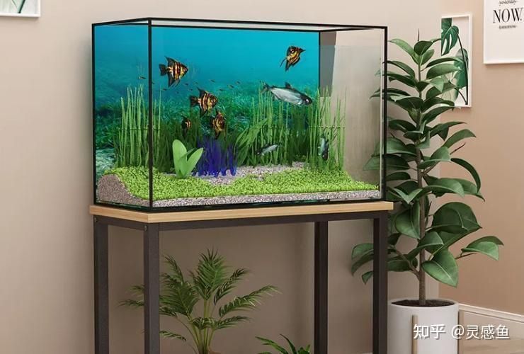 老魚匠水泵使用教程圖解